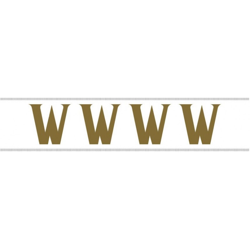 Paq. 25 Tiras letras Adh. " W " color ORO