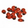Paq. 100 Mariquitas Adhesivas Roja-Negra 2cm