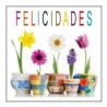 Rollo de 500 Etiquetas Adhesivas FELICIDADES